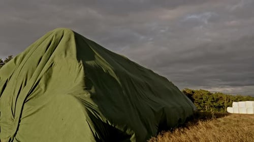 Fardos de heno cubiertos de lona al amanecer en la zona rural de Brandeburgo