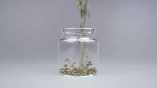 Filling a Glass Container with Cannabis Seeds Cannabis Breeding Grow Hemp Seeds