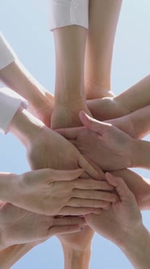 Travail d'équipe et collaboration entre amis pendant une journée d'été autour d'un café et d'un déjeuner sous un soleil radieux