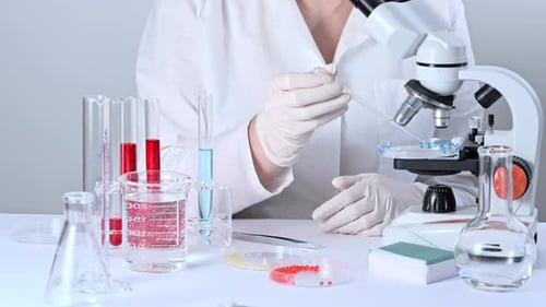 Scientist Working with Microscope and Laboratory Equipment