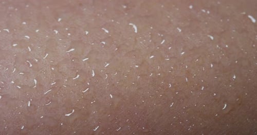 Close Up of Perspiring Human Skin