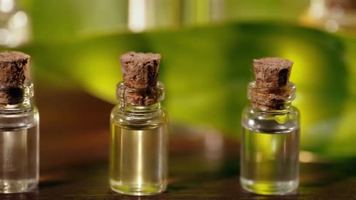 Óleo essencial em garrafas e plantas verdes no fundo