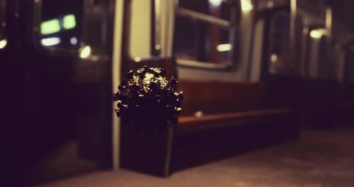 Unexpected Virus Encounter in a Quiet Subway Car at Dusk