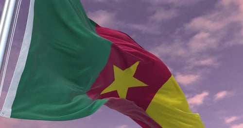 Cameroon Flag Waving Against Cloudy Sky