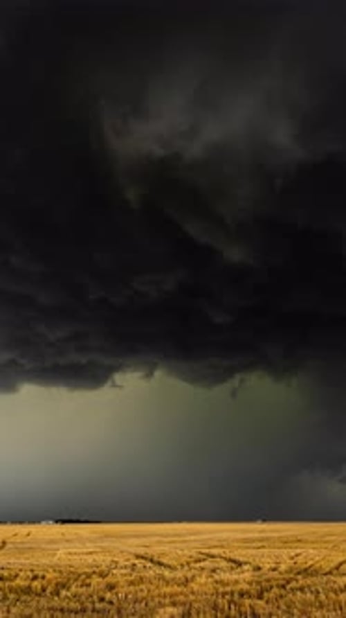 Dramatic Storm Clouds over Golden Wheat Field