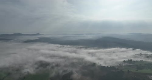 Aerial Drone Footage of Misty Fog Blowing Over Pine Tree Forest on a Beautiful Morning