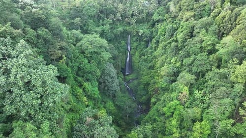 Three waterfalls in the jungle - Bali Indonesia.