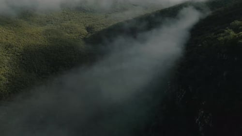 Aerial view of misty forest in mountains, morning fog clouds above the mountain woodland