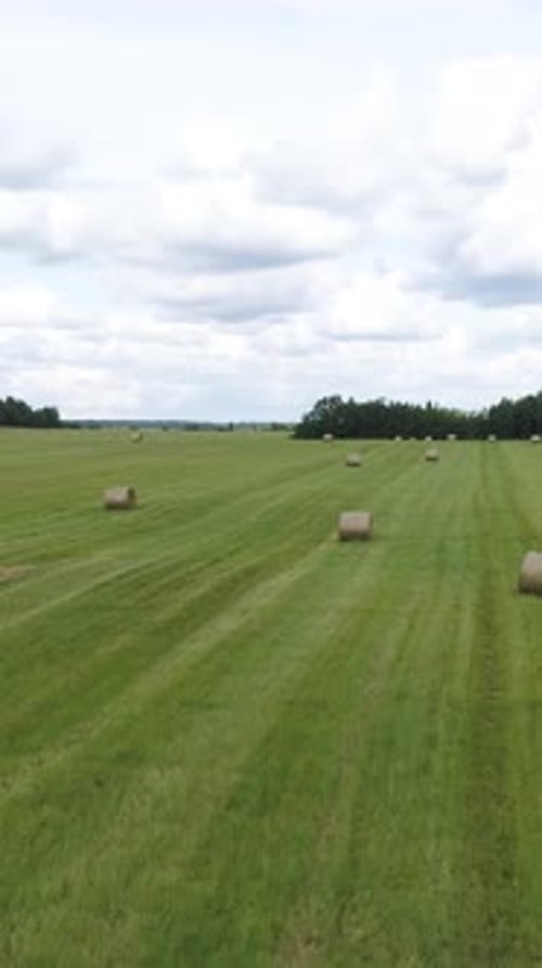 Big Hay Bale Rolls on a Green Field with Blue Sky and Clouds on the Background Shot Rural Landscape