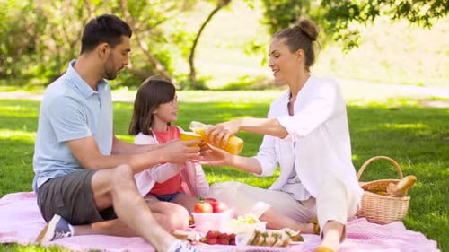 Family Enjoying a Picnic on a Sunny Day