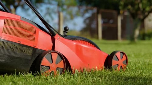 Seitenansicht der Rasenmähermaschine, die Gras im Freien im Garten schneidet
