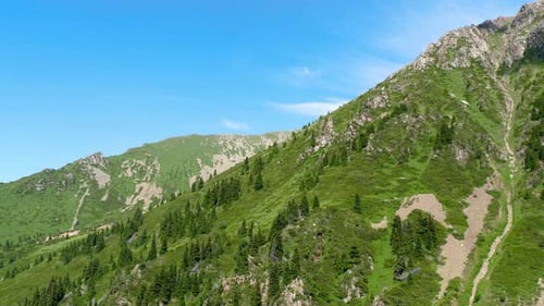 Landscape Mountain Slope Covered with Forest