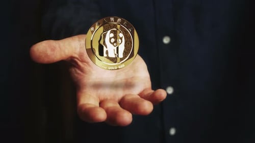 Golden Panda Coin Spinning Loop Animation