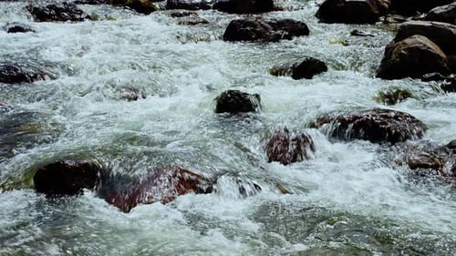 Close Up of River Stream on Stones
