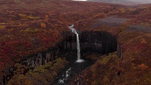 Aerial 4k view of Icelandic waterfall Svartifoss in Skaftafell national park, Iceland, Europe, drone