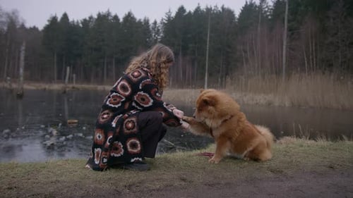 Woman Training Her Chow Chow Dog by Pond