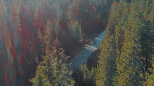 Aufschlussreiche Aufnahme eines schwarzen Autos, das auf einer Landstraße im Wald fährt.