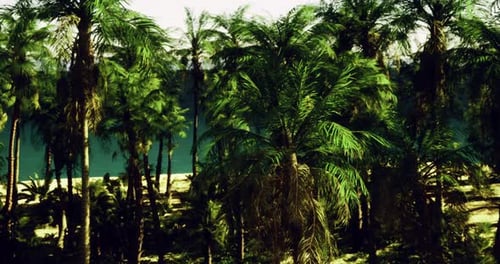 Lush Palm Trees Line the Tranquil Beach Under a Clear Blue Sky