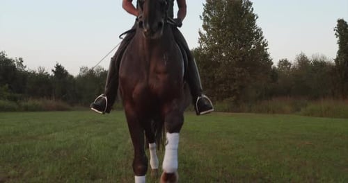 Slow motion of young carefree male is riding a purebred brown horse in nature on a sunset.