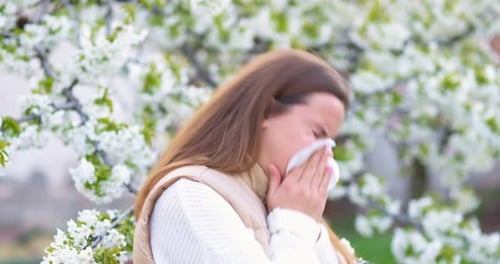 Woman Sneezing with Allergies by Flowering Tree
