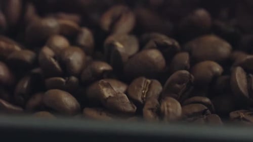 Close Up Shot of Agitated Coffee Beans