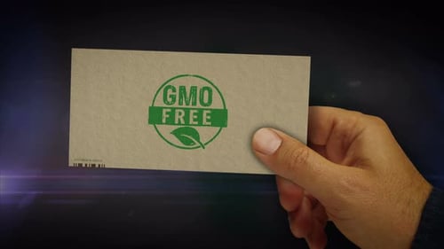 GMO free box pack in hand