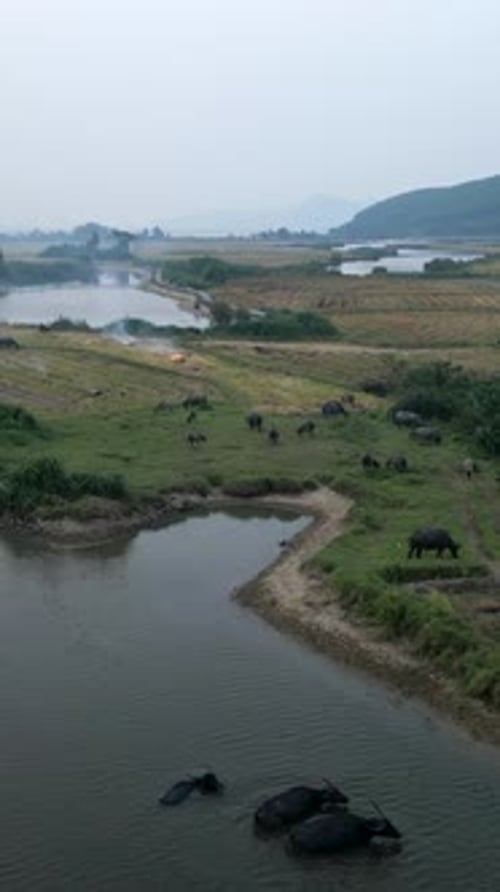 Grande rivière et champs de culture vus à vol d'oiseau entre les montagnes et les vallées du Vietnam