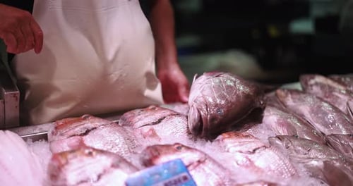 Fischhändler bei der Arbeit auf dem Fischmarkt