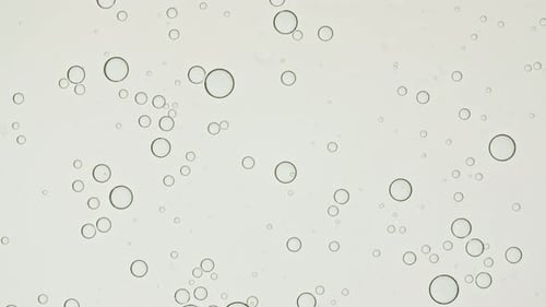 Macro Shot of Various Air Bubbles Super Slow Motion Beauty Glossy Moisturizing Bubble Blobs High