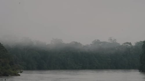 Amazon Rainforest And River Shrouded By Thick Fog In Ecuador. - wide