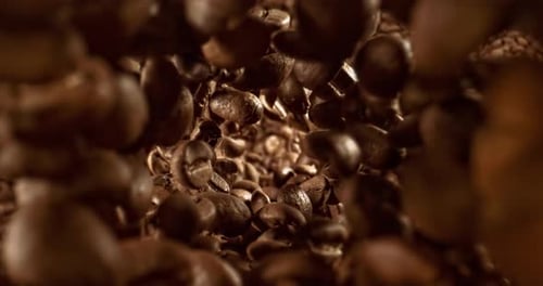 Close up of seeds of coffee. Fragrant coffee beans Super Macro Close Up. Shot on super slow motion