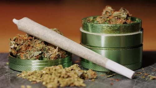 Rolled Medicinal Alternative with Green Herb