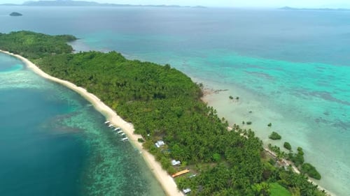 Aerial View of a Tropical Island with Palm Trees and White Sand Beaches Amazing Tropical Island in