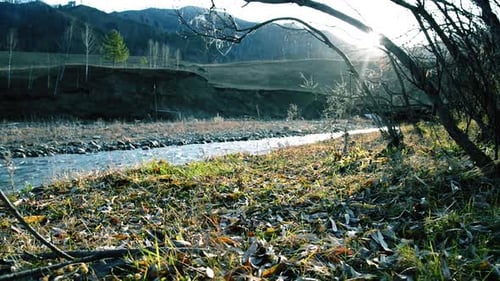 Dolly Slider Shot of the Splashing Water in a Mountain River Near Forest Wet Rocks and Sun Rays