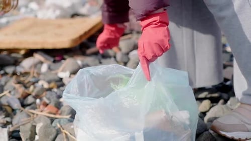 Volunteer Collecting Bottle Trash While Wearing Gloves in the Park or on the Beach Nature Cleaning