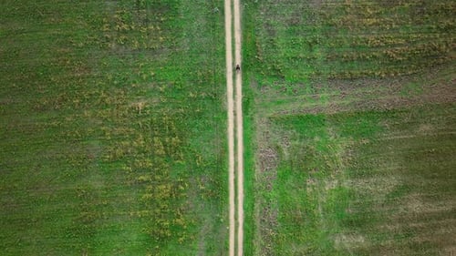 Aerial top down view of cyclist on dirt track cutting through green fields