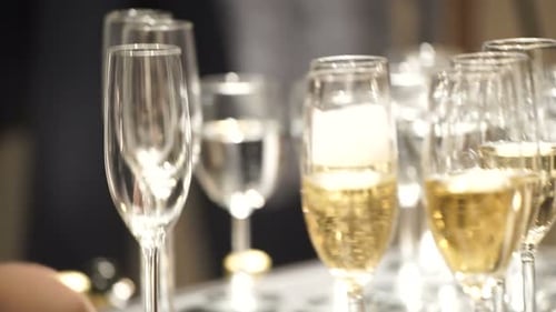 One Caucasian Waitress Pour Drink with Sparkle in Glasses Staying on The