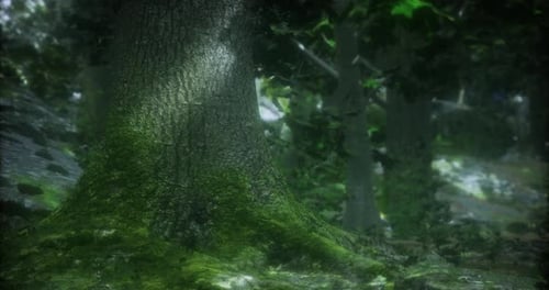 Moss Covered Tree Trunk in a Lush Forest During Daylight Hours