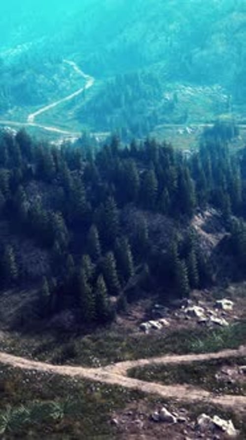 A Winding Dirt Road Through a Lush Forest Seen From Above