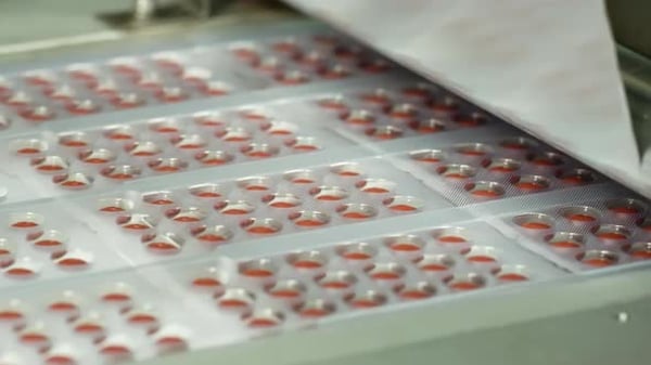 Tea packaging process. The process of packing tea in a production ...