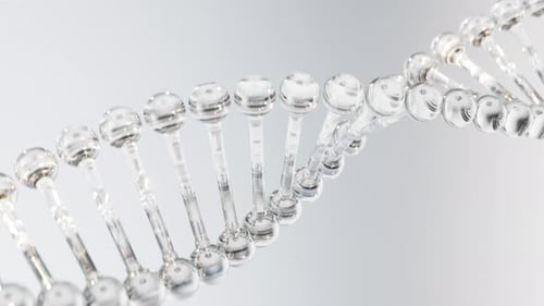 Rotating Glass DNA Helix Loop Animation
