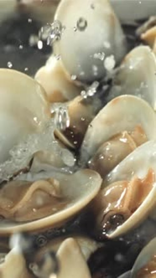 Des gouttes d'eau tombent sur une nouvelle vongole filmée par une caméra haute vitesse à 1000 images par seconde