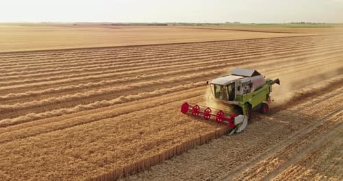 Aerial shot of a combine harvester in action on wheat field.
