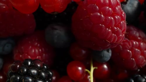Close Up of Fresh, Colorful Mixed Berries