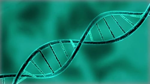 Molecular DNA Double Helix Structure Rotating Animation