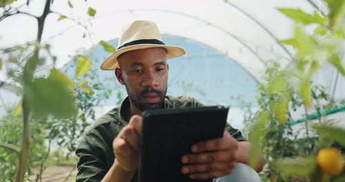 Young Adult Using Tablet in Greenhouse