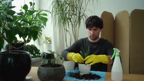 Young Adult Man Repotting a Plant at Table