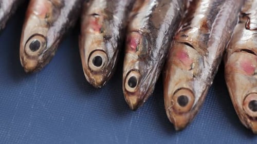Fresh Sea Sardines and Anchovy Fish and Mullus On Display On Ice On Market Store Shop Seafood Fish
