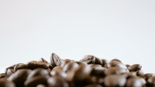 Close Up of Coffee Beans with Dolly Movement