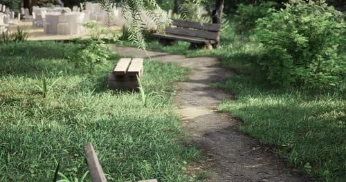 Scenic Park Path Bordered By Greenery and Wooden Benches in Warm Daylight